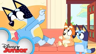 Bluey and Bingo Play with Shaun! | Bluey | Disney Junior