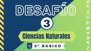 5º Básico. Ciencias Naturales. Desafío N3
