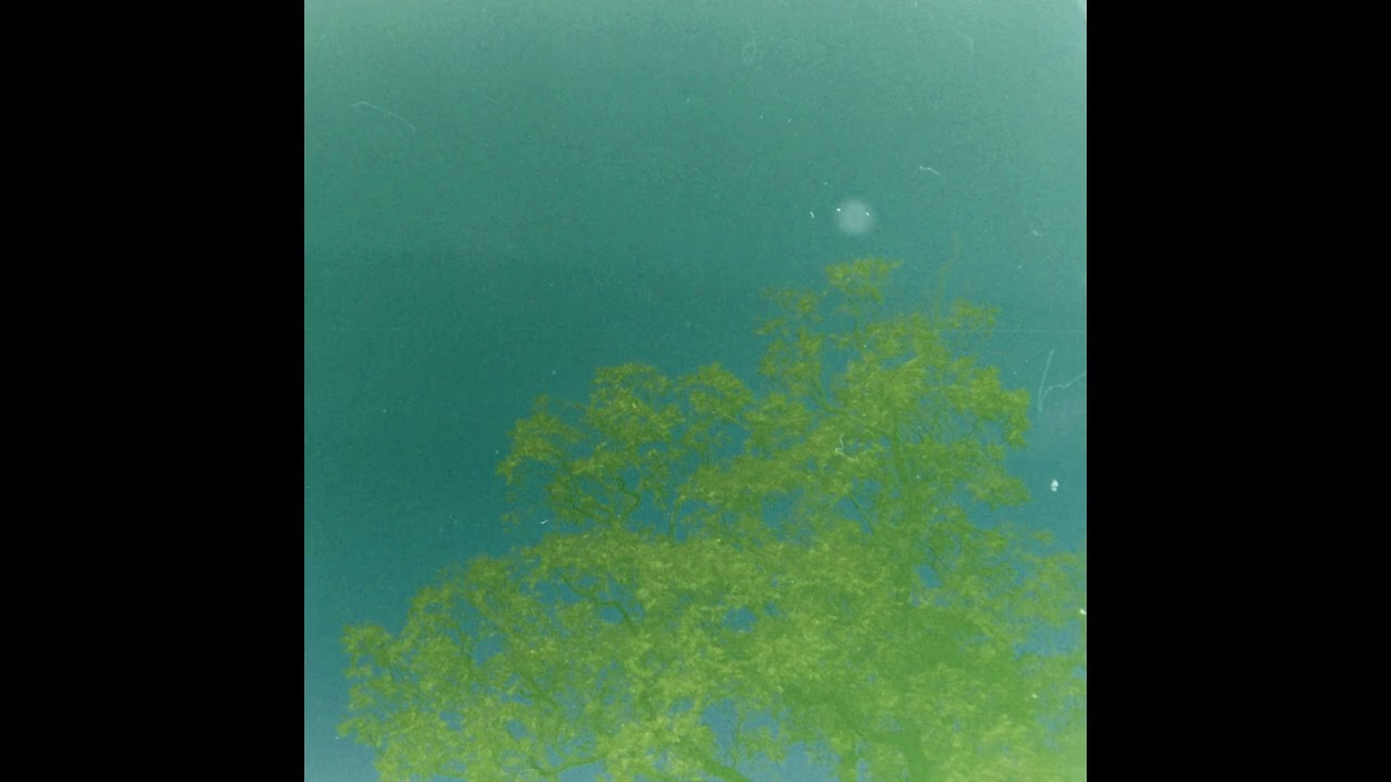 have fun! - Everlasting Time 