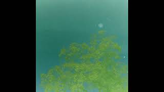 Have Fun  Everlasting Time 