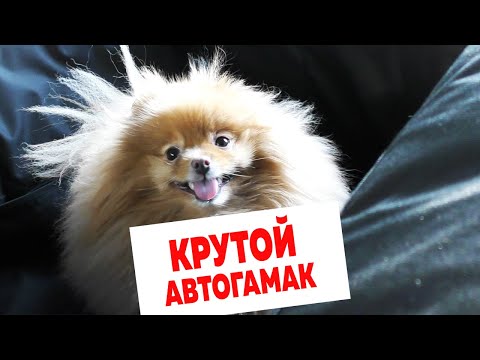 АВТОГАМАК для собаки! Обзор КРУТОГО автогамака для перевозки собак в автомобиле A&P