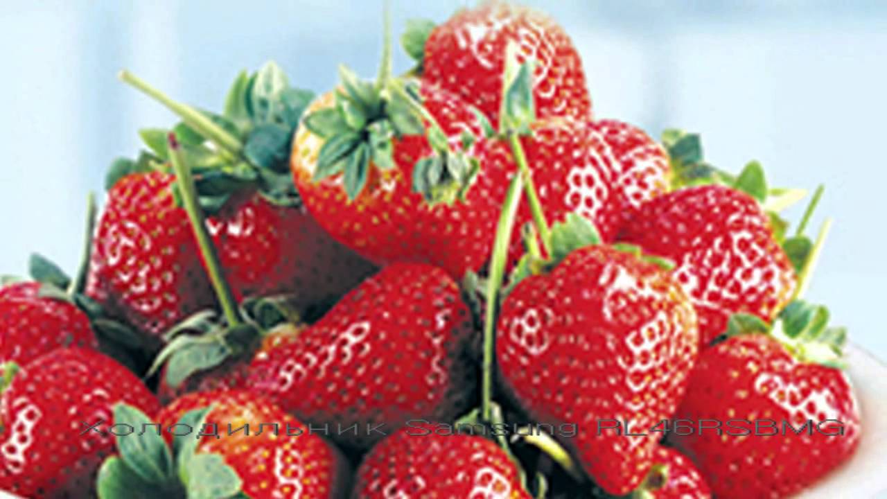 Холодильник SAMSUNG RL46RSBMG