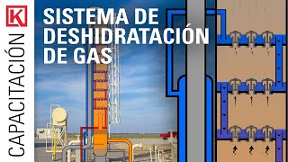 Sistema de deshidratación de gas: regeneración de glicol (TEG) [Bomba de Glicol y Torre Contactora]