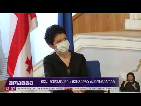 თეა წულუკიანის შეხვედრა ძალოსნებთან