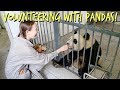 Volunteering With Pandas In China! | MirandaTheAdventurer