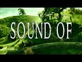 Lord of the rings  sound of the shire original