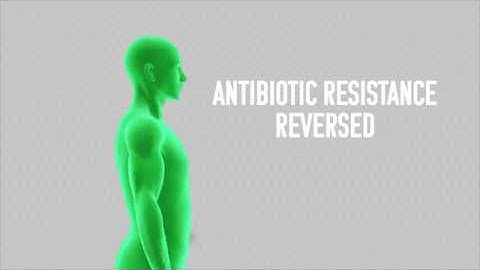 Computer simulations unlock the secrets of antibiotic resistance