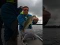 Bomb shot #shorts #fishing #bassfishing #fish #bass #fishinglife #omniafishing #fishtv #fun #1k #100