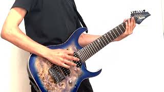 Novelists-gravity guitar cover(Deter Min)