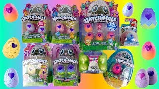 OPENING ALL HATCHIMALS SEASON 1 TO SEASON 5 EXCLUSIVE AND LIMITED EDITION FULL COLLECTION