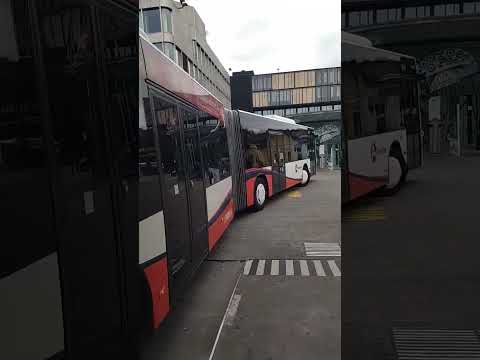      4 12 41    15 3 2025