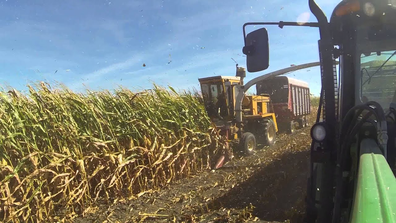 Field Queen Chopping 2013 YouTube