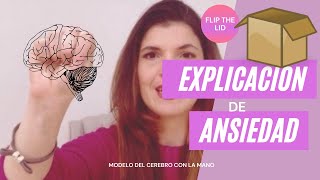 Explicando la ANSIEDAD según el Dr. Siegel y su modelo del cerebro (flip the lid en español)