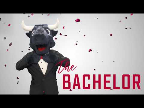 🌹 The new Bachelor is... TORO! 🌹 | Houston Texans