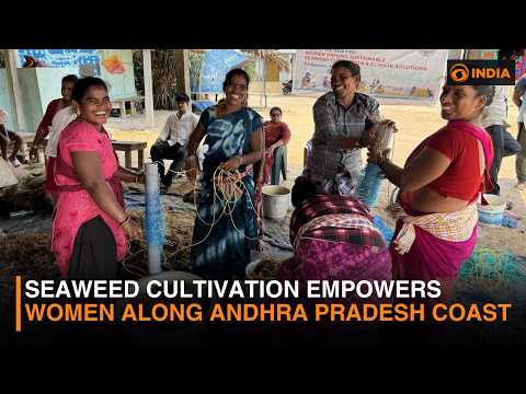 Andhra Pradesh Fisherwomen Build New Livelihoods Through Seaweed Farming