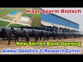 Animal Genetics & Research Center - Hisar Sperm Biotech (HSB) || Semen Bank with Best Bloodline Bull