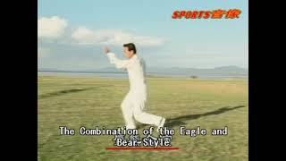 Xing Yi   Bear Eagle Form