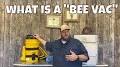 Video for Bee Life Bee Removals