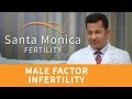 About Male Infertility: Factors, Causes, Treatments