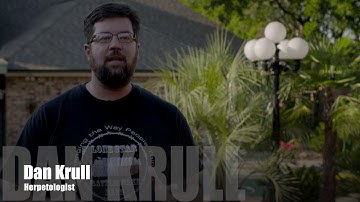 Atrox Snake Barrier for swimming pools