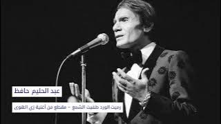 عبد الحليم حافظ - رميت الورد طفيت الشمع (زي الهوى) | abdelhalim hafez ‐ zay el hawa