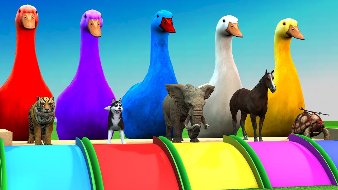 5 Giant Ducks Lion Elephant Tiger Gorilla T-Rex Bear Guess The Right Door ESCAPE ROOM CHALLENGE Game