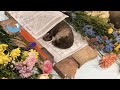 Otter Love Passed Away...