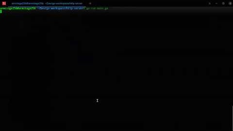 Como Programar um Servidor HTTP Simples em Golang # 9