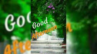 Good afternoon video💞 Good afternoon video💞 screenshot 2