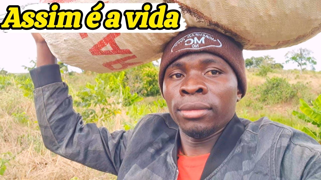 ASSIM É A VIDA NA ROÇA MOÇAMBIQUE-ÁFRICA
