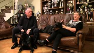 Hks - Nagrada Za Životno Djelo U Uzgoju - Royal Bell