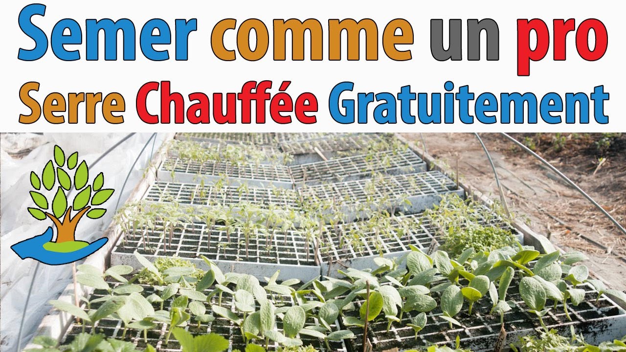Comment semer comme un pro - Serre chauffée naturellement - Permaculture