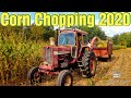 Chopping Corn 2020: Day 1