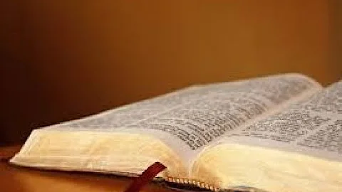 Homily 15 Nov 2020