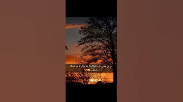 وتەی جوان بۆ ستۆری 