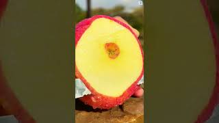 Download Lagu Memotong buah apel super segar dengan alat sederhana super tajam #shorts MP3 Download Lagu Memotong buah apel super segar dengan alat sederhana super tajam #shorts MP3