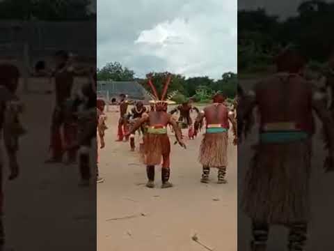 festa do papagaio na tribo😍😇
