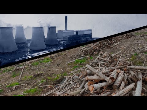Vidéo: Le Royaume-Uni était-il autrefois couvert de forêts ?