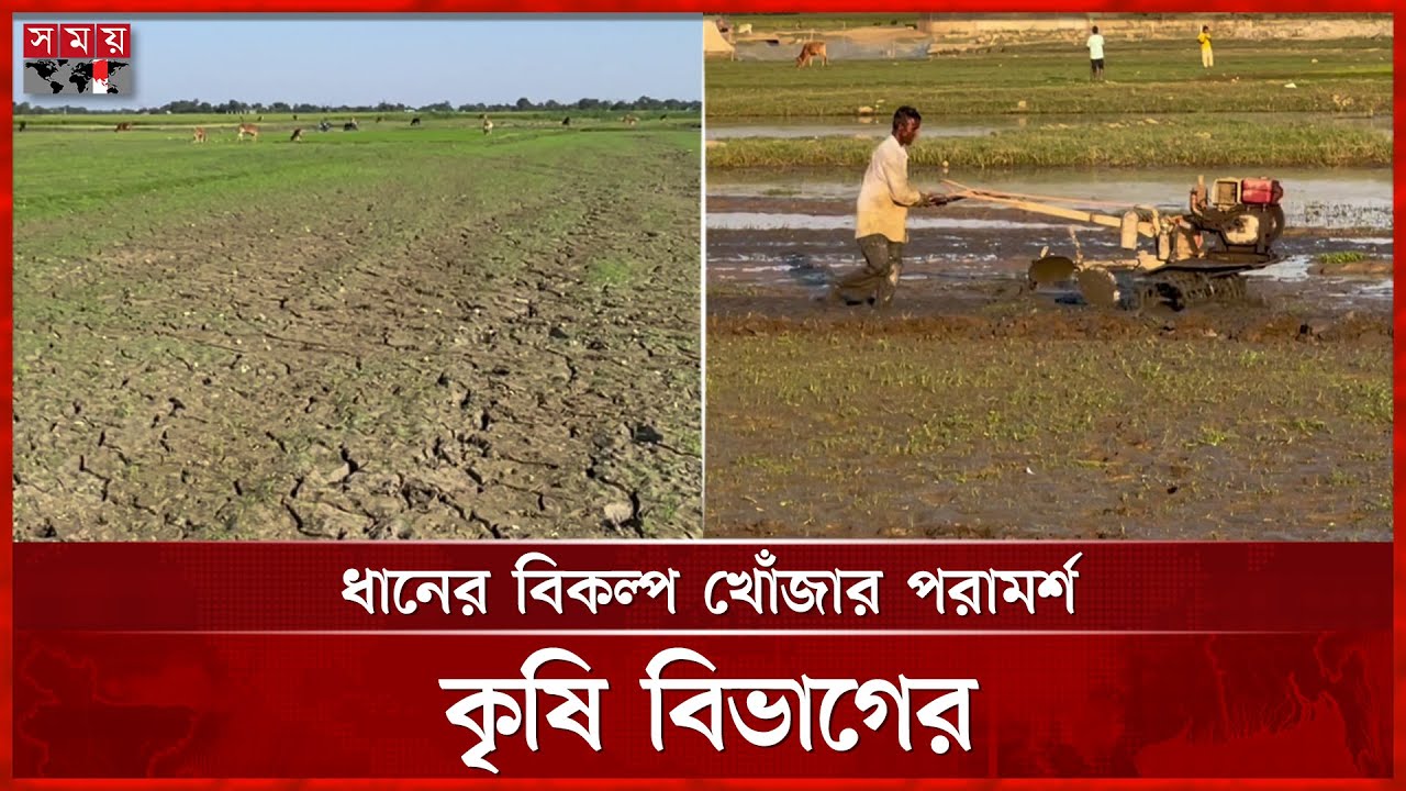 হাওরে পানি সংকটে বোরো চাষে ভাটা | Irrigation | Boro Cultivation | Sunamganj News | Somoy TV