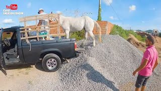 BORA ALI NUM BOLÃO DE VAQUEJADA - EMBARCANDO A TROPA DO HARAS JV