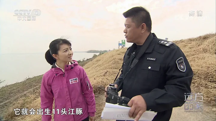 [远方的家]神奇动物在中国 留住长江江豚的微笑| CCTV中文国际 - 天天要闻