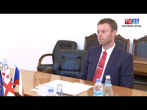 შეხვედრა საქართველოში  ჩეხეთის რესპუბლიკის ელჩის მოვალეობის შემსრულებელთან