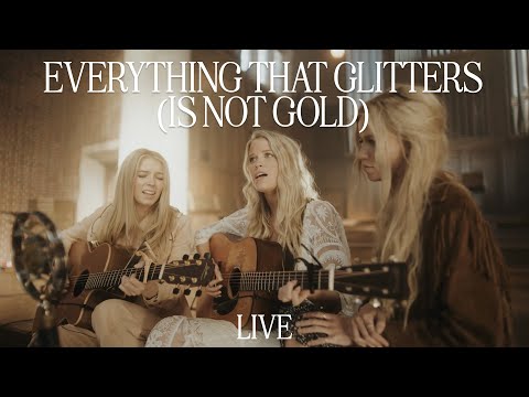 Everything That Glitters - Dan Seals (High Carbon Steel Cover)