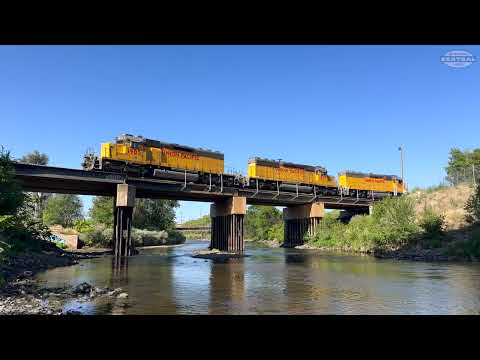 Trains of Denver: BNSF and Union Pacific