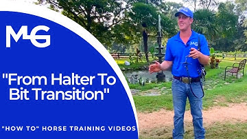 From Halter To Bit Transition | The Horse Guru - Michael Gascon
