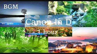 [Highquality sound] Pachelbel 'Canon in D' with various images Relaxing 1/f fluctuation scenery