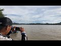 Balap Perahu Dayung Birau Bulungan