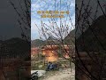 Làng lô lô chải ngôi làng du lịch tốt nhất thế giới