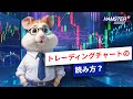 トレーディングチャートの読み方⚡️ Hamster Academy