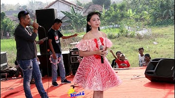 Mundur Alon Alon - Cindy Ikhsanti NEW DUTA Music JAVANA Audio Rembang Cah TeamLo Punya